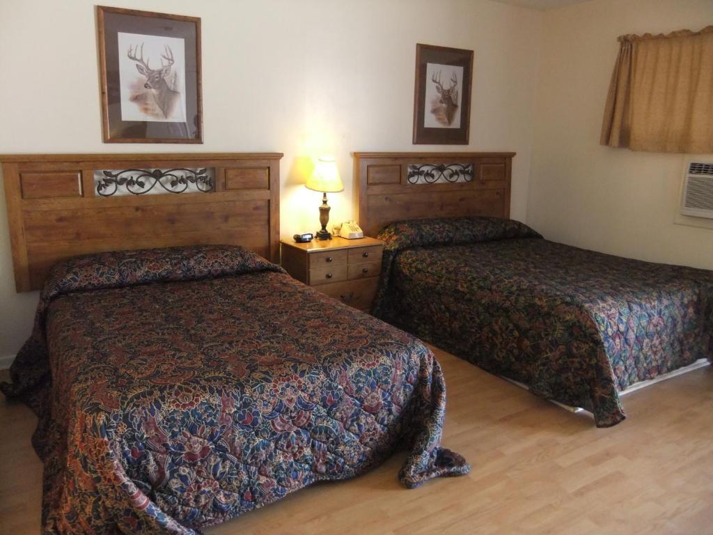 The Hills Motel Junction Quarto foto